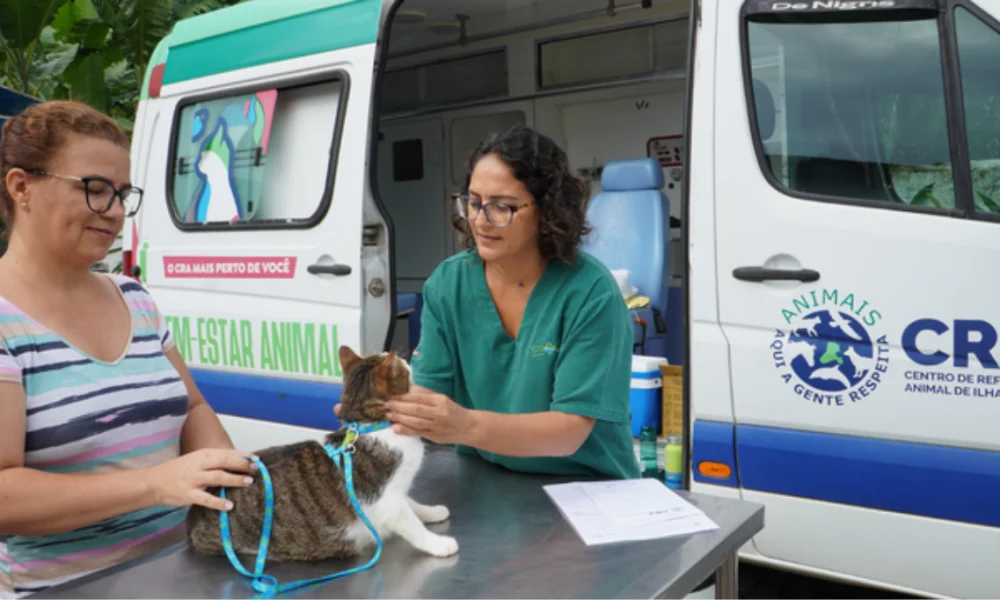 Prefeitura de Ilhabela realiza mutirão veterinário no bairro Bexiga