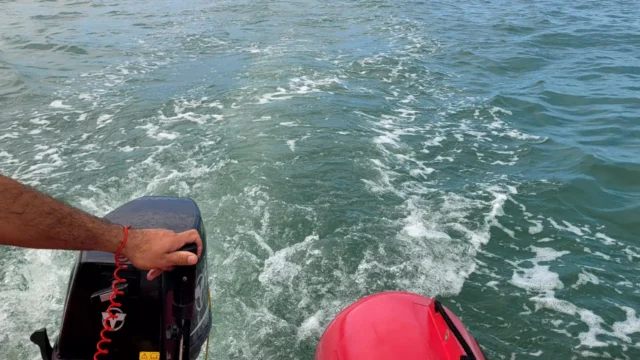 Ubatuba concentra 20 salvamentos em balanço no Litoral Norte