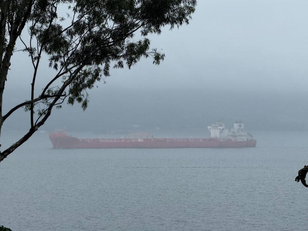 Chuva fraca e forte névoa cobrem o canal de São Sebastião neste domingo