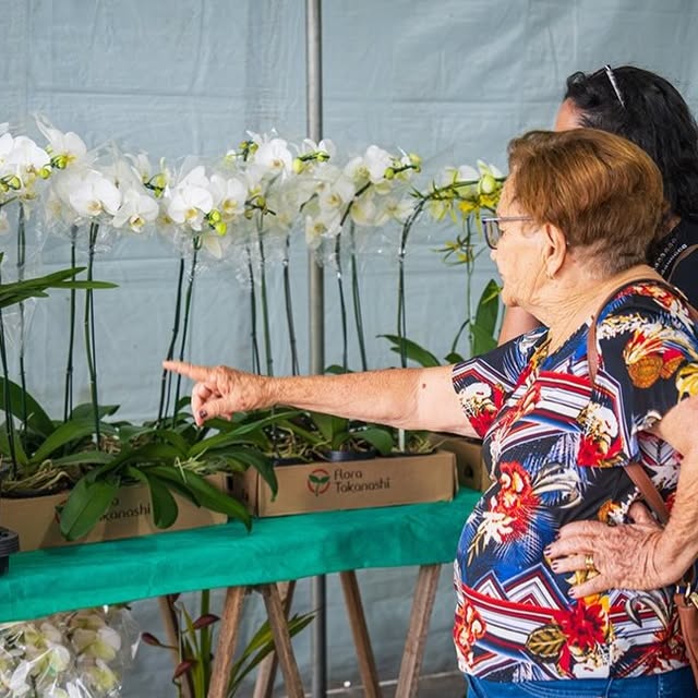Caraguatatuba recebe a 46ª Exposição de Orquídeas do Litoral Norte
