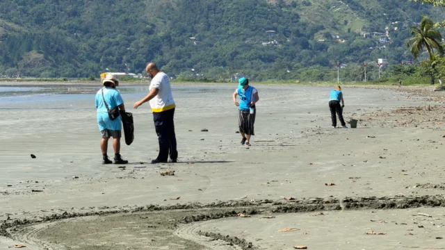 Mutirão recolhe 383 itens de plástico na Praia do Porto Novo