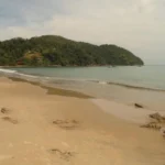 Praia do Engenho reúne mar calmo e natureza preservada em Ubatuba