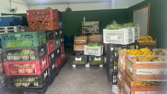 Prefeitura de Caraguatatuba distribui quase duas toneladas de alimentos