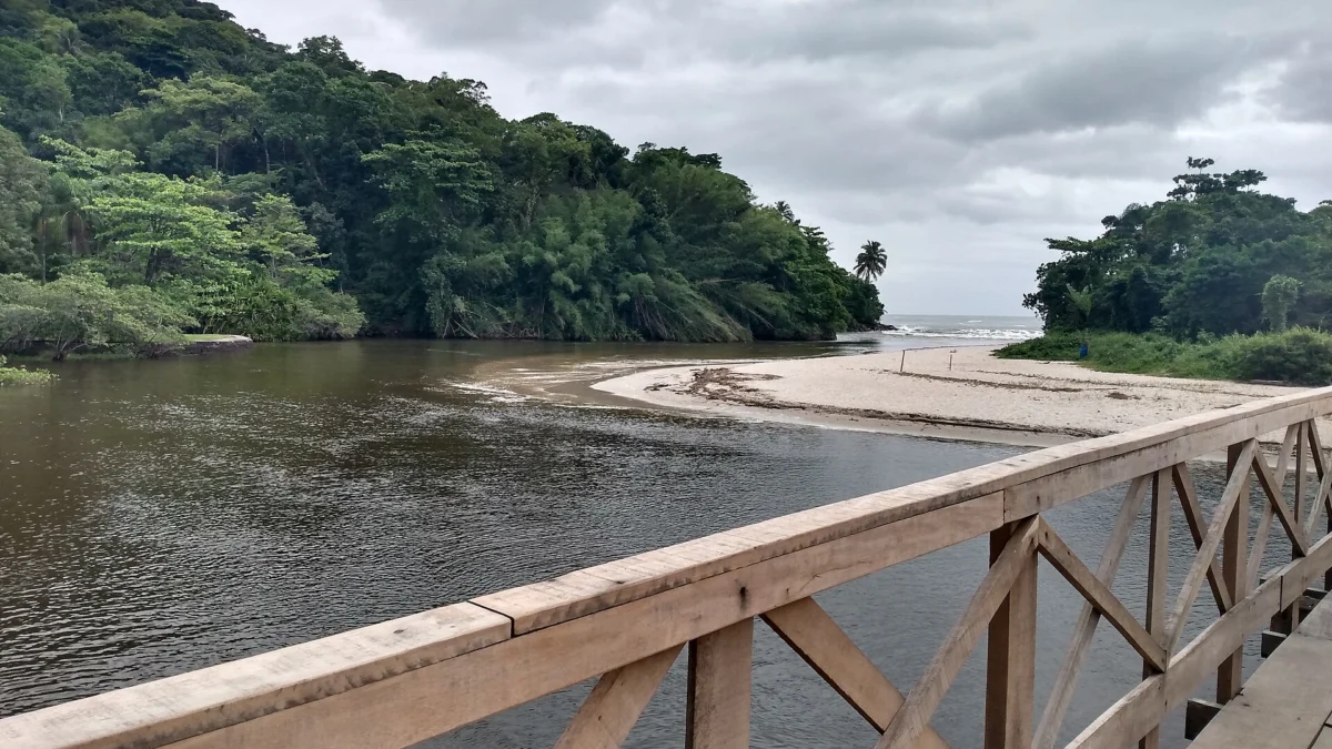 São Sebastião registra 76 espécies de aves em evento nacional